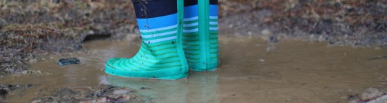 Wellington Boots